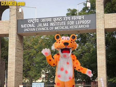 CRACKED. COM RI TTT TRTRT GIGTHI 560 FOR LEPROSY INSTITUTE NATIONAL JALMA COUNCIL OF MEDICAL RESEARCH) INDIAN