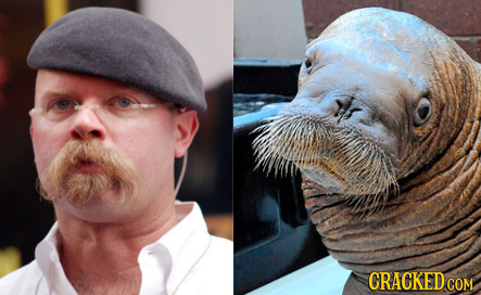 20 Celebrities Who Have Creepy Animal Lookalikes