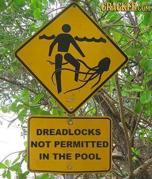 CRAGKED COM DREADLOCKS NOT PERMITTED IN THE POOL 