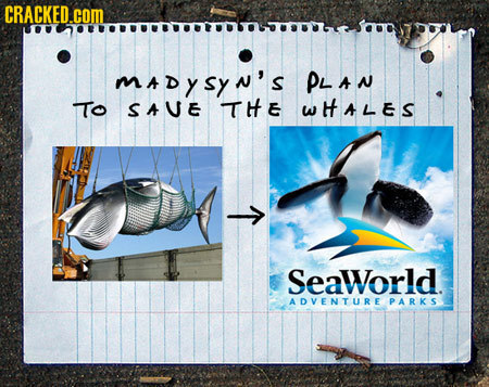 CRACKED.COM mdysyn's PLAN ITo SAUE THE WHALES T SeaWorld. ADVENTURE PARKS