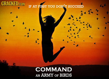 CRACKED.COM IF AT FIRST YOU DON'T SUCCEED COMMAND AN ARMY OF BIRDS