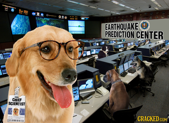Ine ME EARTHQUAKE PREDICTION CENTER CHIEF SCIENTIST 