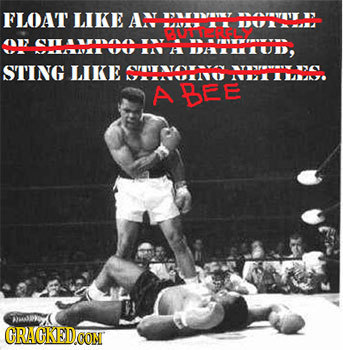 FLOAT LIKE AN W31117 190 O $1A0 KA H PERMAUD, STING LIKE OHATEMVU YPY 10011147. A BEE OPO GRACKED CON