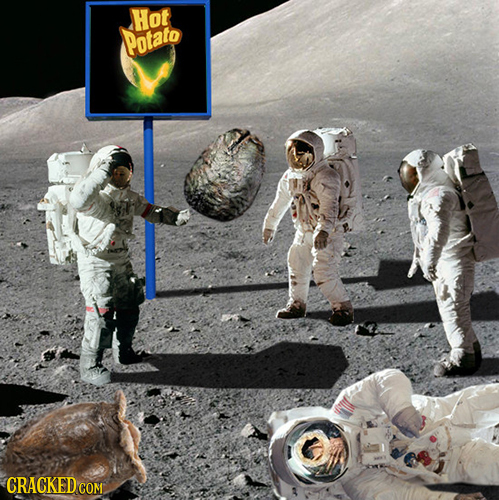 Hot Potato CRACKED COM