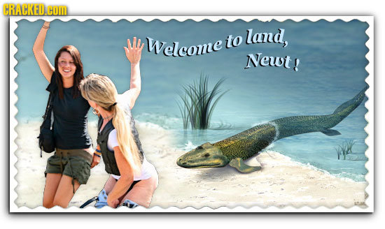 CRACKED.COM Welcome land, to Newt!