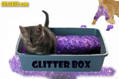 CRACKED. COM GLITTER BOX