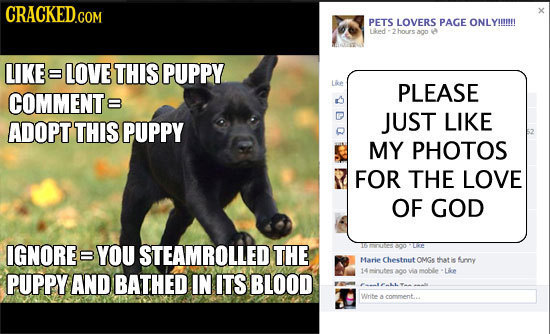 CRACKED.COM PETS LOVERS PAGE ONLYIII!! Loed hours ago LIKE LOVE THIS PUPPY L&e COMMENTE PLEASE JUST LIKE ADOPT THIS PUPPY MY PHOTOS FOR THE LOVE OF GO