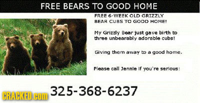 Everyday Life If One Crime Were Suddenly Legal