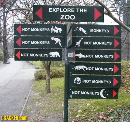 EXPLORE THE Zoo NOT MONKEYS MONKEYS NOT MONKEYS NOT MONKEYS NOT MONKEYS RKE NOT MONKEYS NOT MONKEYS NOT MONKEYS NOT MONKEYS CRACKED.COM 