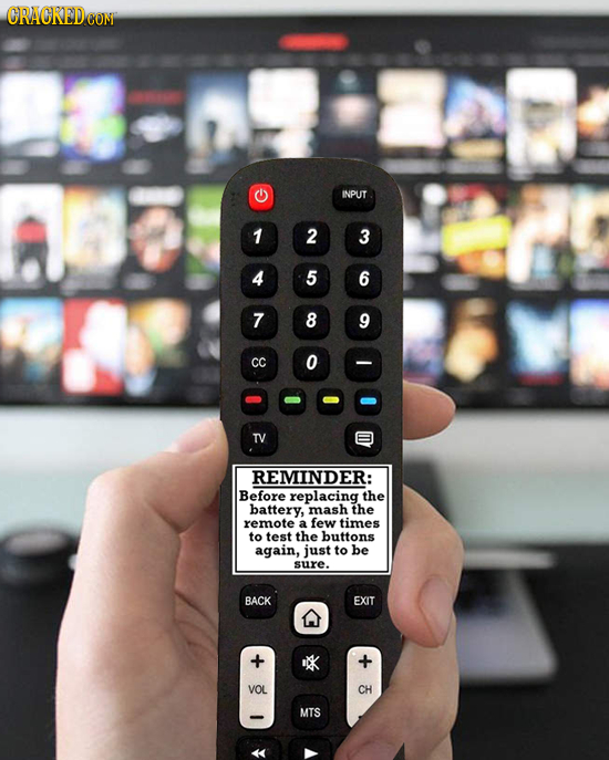 INPUT 1 2 3 4 5 6 7 8 9 CC o Ty REMINDER: Before replacing the battery, mash the remote a few times to test the buttons again, just to be sure. BACK E