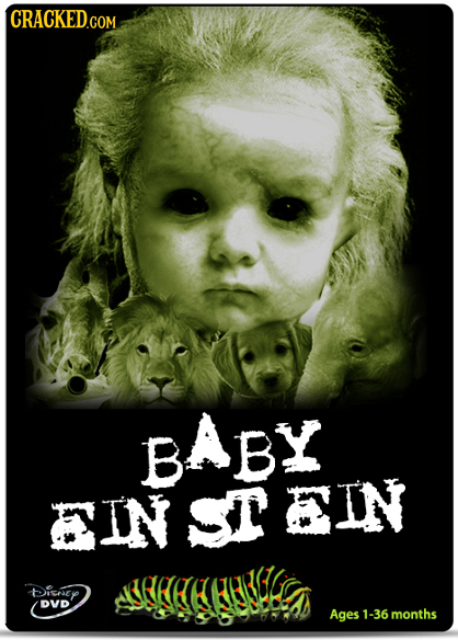 CRACKED.COM BABY B EIN CTEIN Dichey DVD Ages 1-36 months