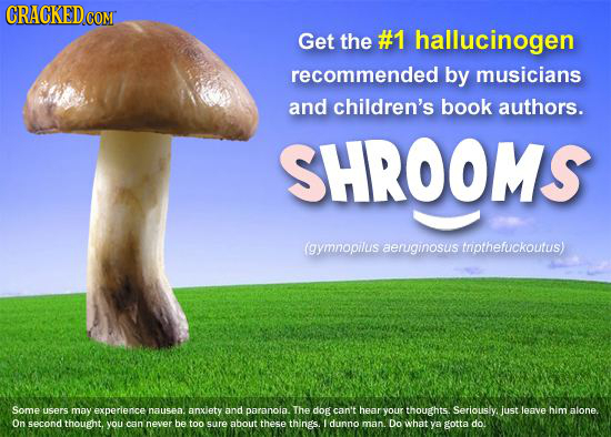 CRACKEDC COMT Get the #1 hallucinogen recommended by musicians and children's book authors. SHROOMS (gymnopillis aeruginosus tnpthefuckoutus) Some use