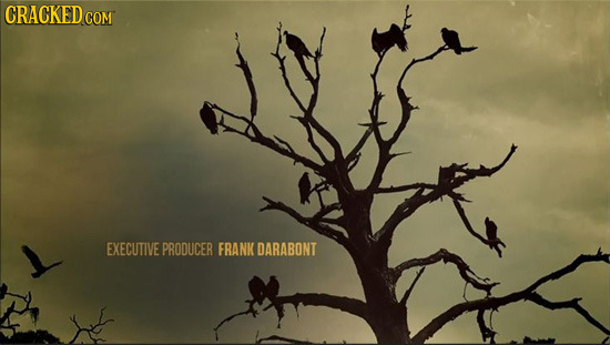 CRACKED COM EXECUTIVE PRODUCER FRANK DARABONT