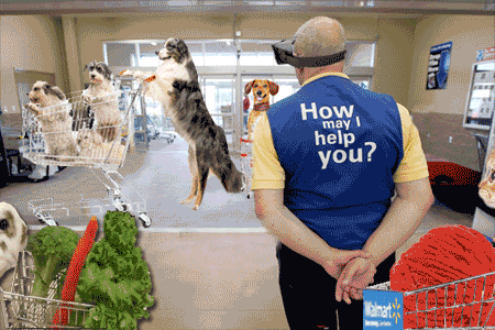 How We'll Really Use Virtual Reality