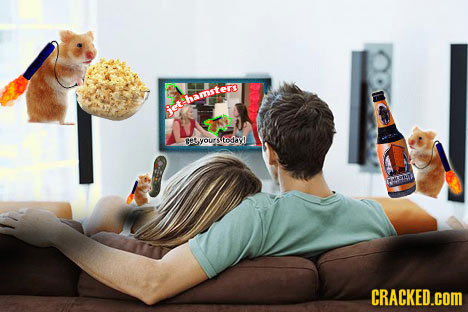 hamstem jethamster gesyoustodey MMRR CRACKED.COM