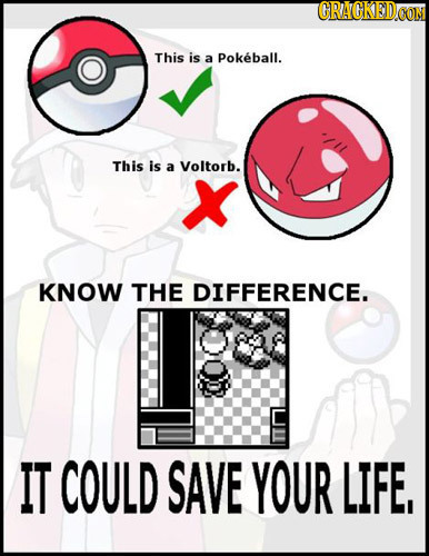 CRAGKEDCO This is a Pokeball. This is a Voltorb. KNOW THE DIFFERENCE. IT COULD SAVE YOUR LIFE,