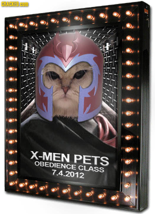 CRACKED. HOm X-MEN PETS OBEDIENCE CLASS 7.4.2012