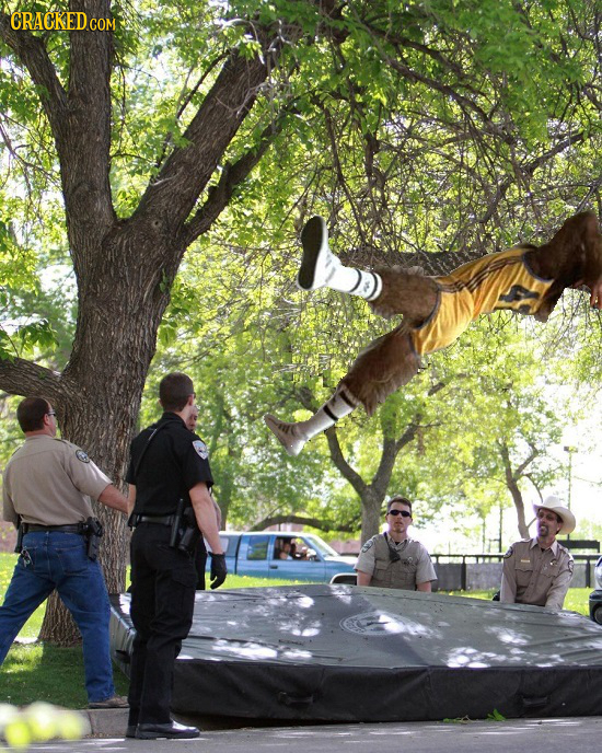 23 Famous Fictional Schools Updated for Realism