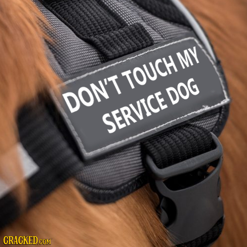 MY TOUCH DON'T DOG SERVICE CRACKED COM 