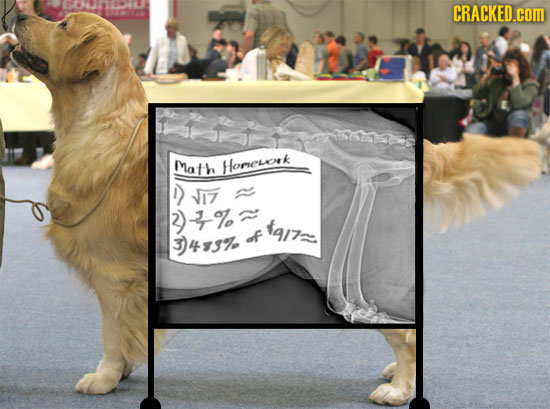 14011908 CRACKED.cOM Math k Homesork R 17 2)4% are: 3)437 of 