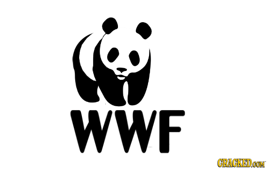 12 Classic Logos Revealed (By Putting Them In Motion)