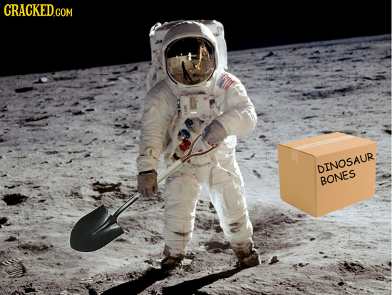 CRACKED.COM DINOSAUR BONES