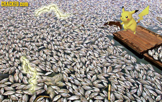 CRACKED COML Upiled raherien