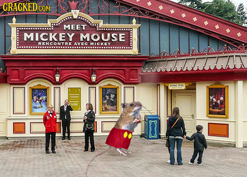 CRACKED CO COM MEET MICKEY MOUSE RENCONTRE AVEC MICKEY eaohohAIT boh