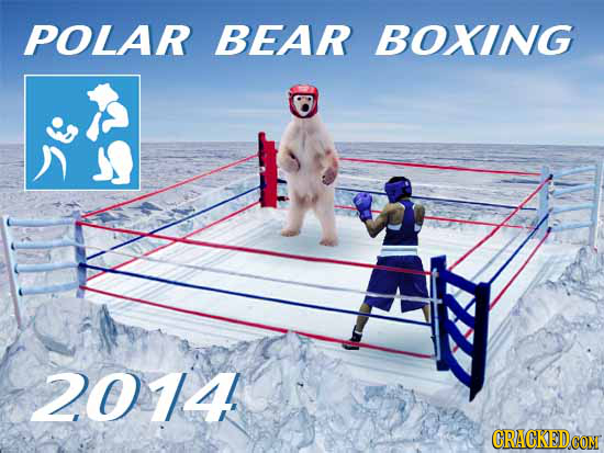 POLAR BEAR BOXING 2014 CRACKEDCON 