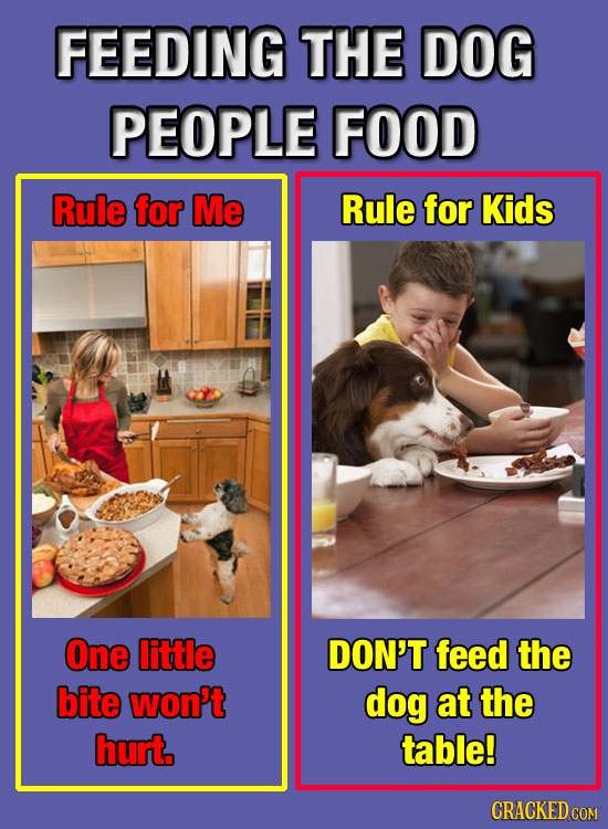 FEEDING THE DOG PEOPLE FOOD Rule for Me Rule for Kids One little DON'T feed the bite won't dog at the hurt. table! CRACKED COM