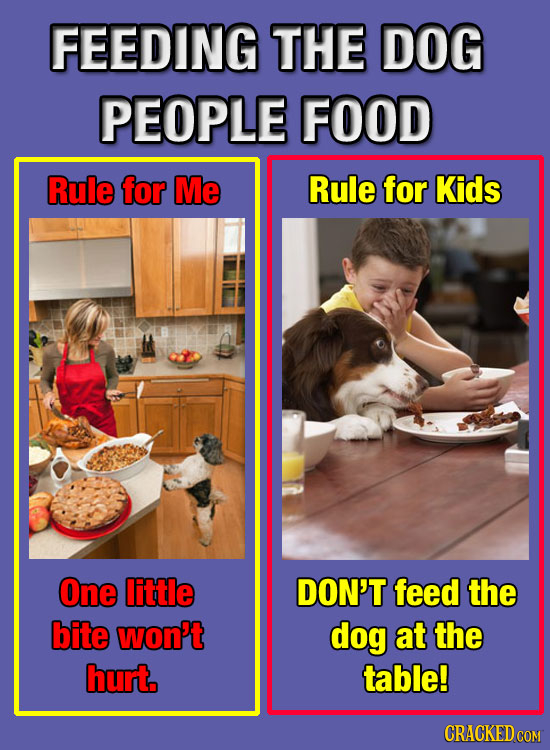 FEEDING THE DOG PEOPLE FOOD Rule for Me Rule for Kids One little DON'T feed the bite won't dog at the hurt. table! CRACKED COM 
