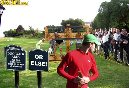 CRACKEDOON NODL DOG WALK AREA OR ALL DO DROPPINGS ELSE! MUST BE PICKED UP AT ONCEN