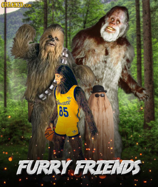 85 FURRY FRIENDS