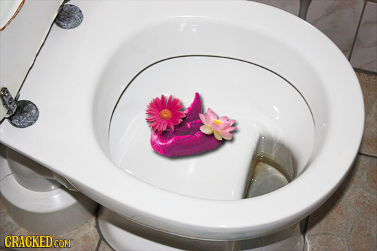 27 Dumb Things Men Suspect About Women