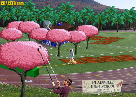 CRACKED.cOM PLAINVILLE HIGH SCHOOL HOME OF THE EKGIKTING CARDETALS