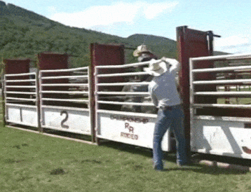 17 Camera Shots That Almost Killed People