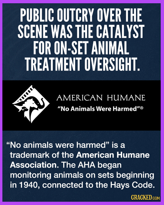 The On-Screen Animal Cruelty That Led To 'No Animals Were Harmed'  Disclaimer 