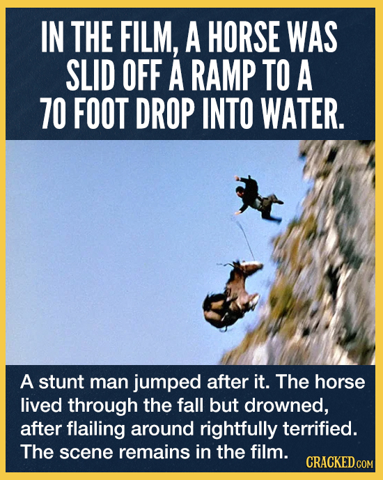 The On-Screen Animal Cruelty That Led To 'No Animals Were Harmed