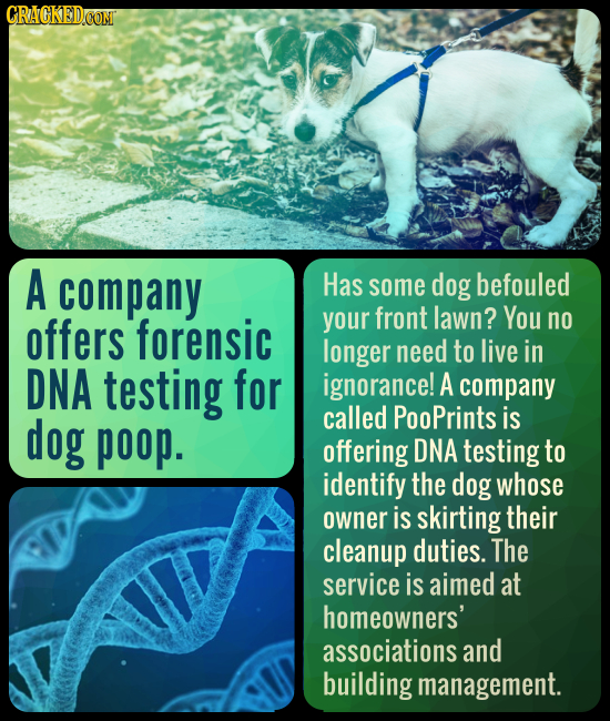A company Has some dog befouled offers forensic your front lawn? You no longer need to live in DNA testing for ignorance! A company dog called PooPrin
