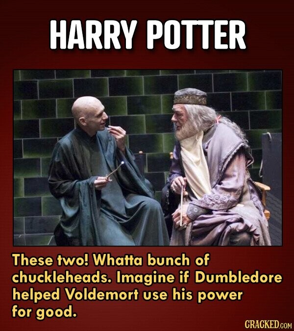 HARRY POTTER These two! Whatta bunch of chuckleheads. Imagine if Dumbledore helped Voldemort use his power for good.