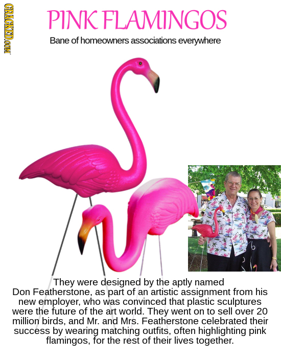 CRACKEDOON PINK FLAMINGOS Bane of homeowners associations everywhere They were designed by the aptly named Don Featherstone. as part of an artistic as