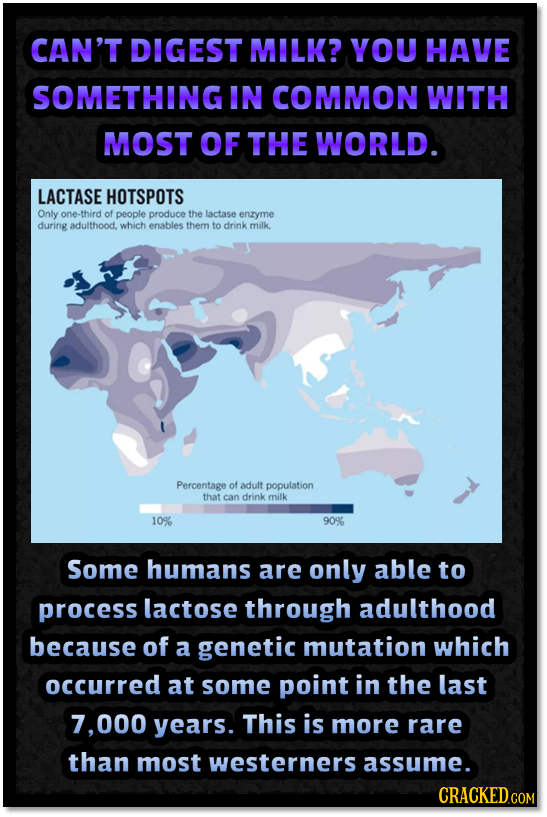 CAN'T DIGEST MILK? YOU HAVE SOMETHING IN COMMON WITH MOST OF THE WORLD LACTASE HOTSPOTS Only one-third of people produce the lactase enzyme during adu