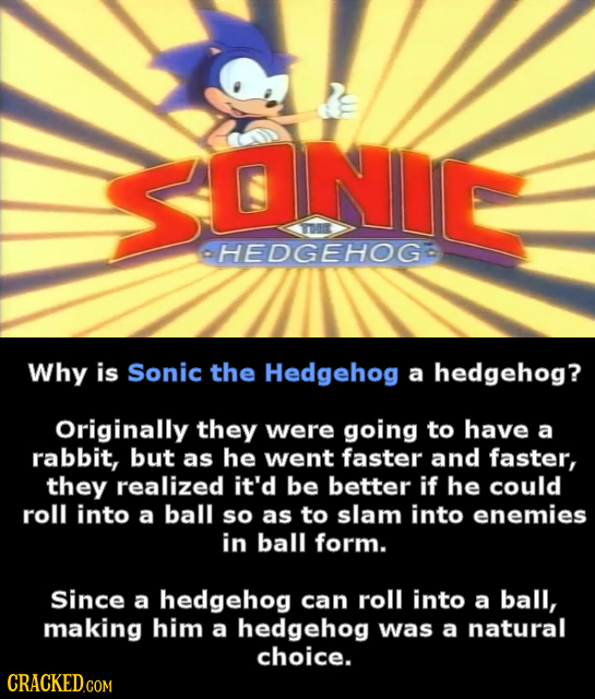 SONC E HEDGEHOG Why is Sonic the Hedgehog a hedgehog? Originally they were going to have a rabbit, but as he went faster and faster, they realized it'