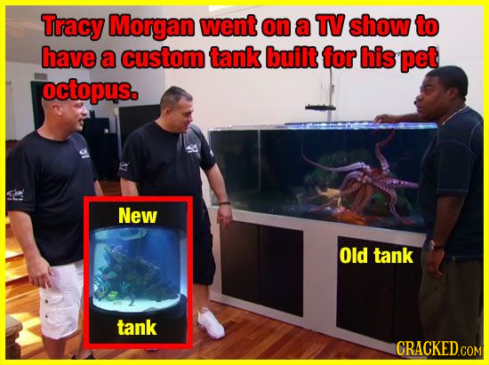 Tracy Morgan went on a TV show to have a custom tank built for his pet octopus. New Old tank tank CRACKED.COM
