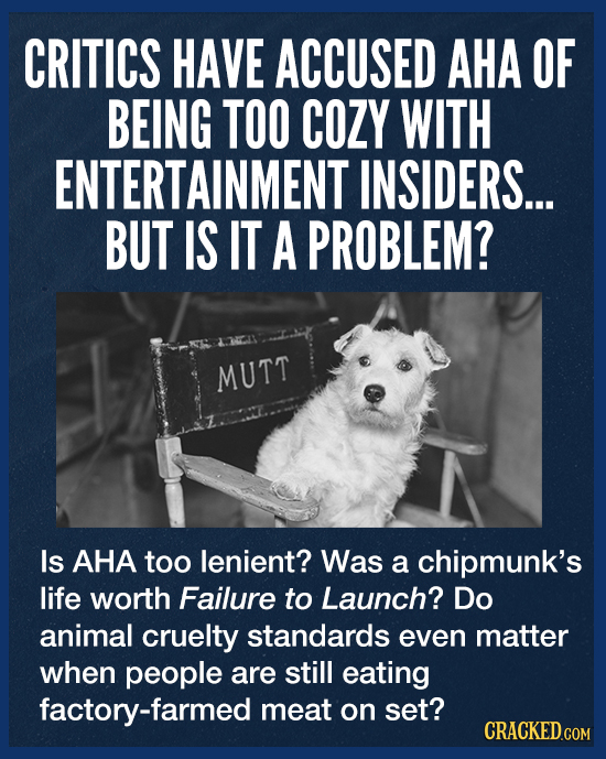 CRITICS HAVE ACCUSED AHA OF BEING TOO COZY WITH ENTERTAINMENT INSIDERS... BUT IS IT A PROBLEM? MUTT Is AHA too lenient? Was a chipmunk's life worth Fa