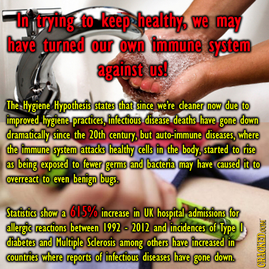 In trying to keep healthy, we may have turned our own immune system against us! The Hygiene Hypothesis states that since we're cleaner now due to impr