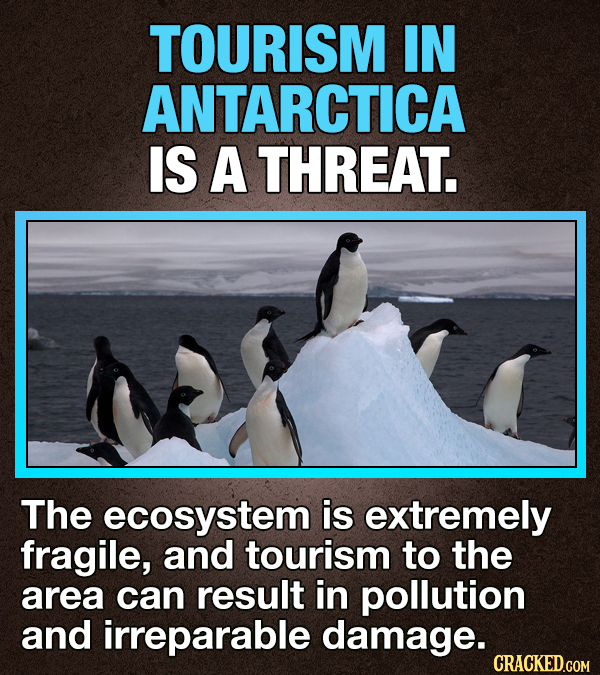 13 Experiences' Life-Changing Downsides