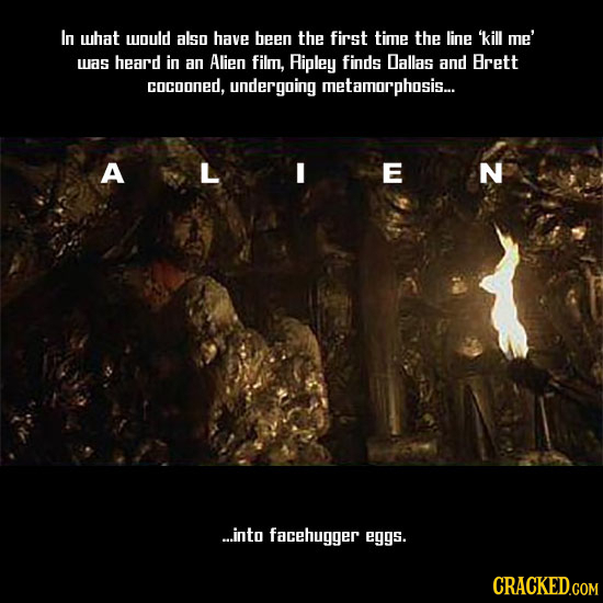 In what would also have been the first time the line 'kill me' was heard in an Alien film, Aipley finds Dallas and Brett cocooned, undergoing metamorp