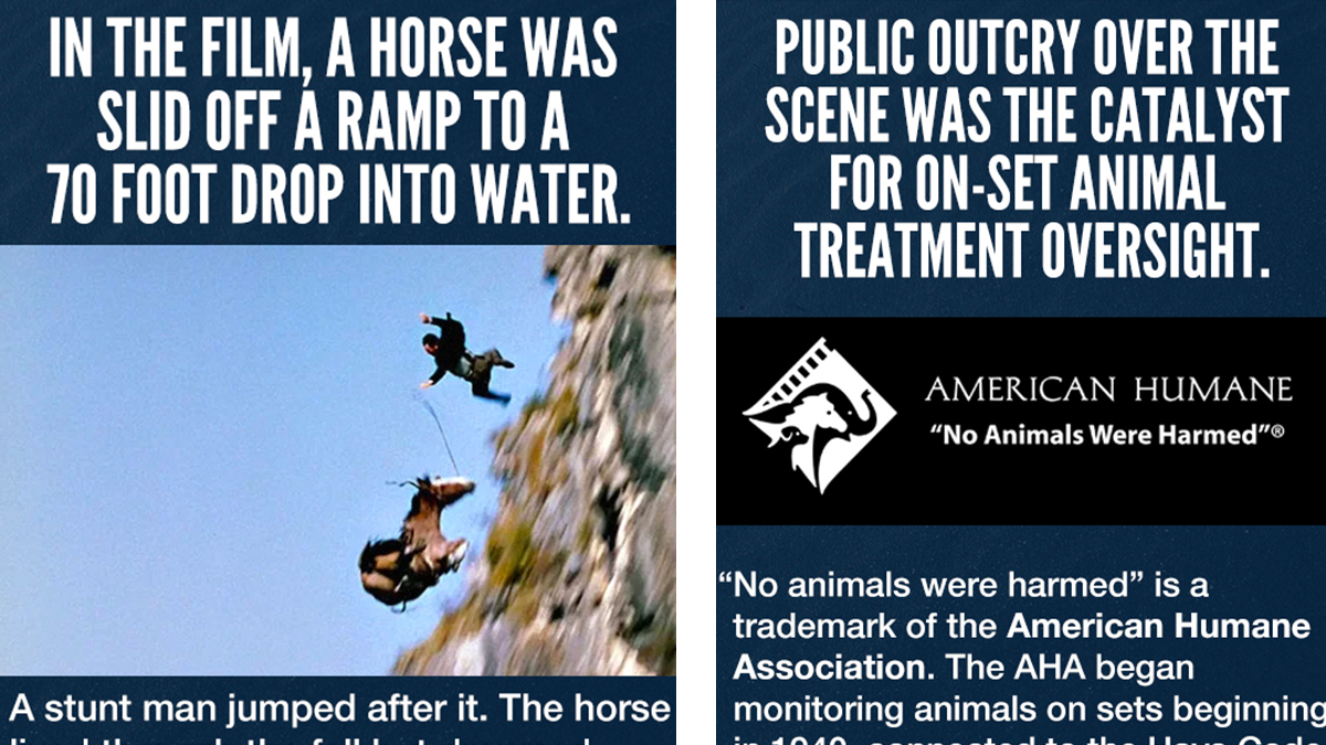 The On-Screen Animal Cruelty That Led To 'No Animals Were Harmed' Disclaimer  