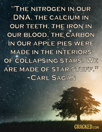 ''THE NITROGEN IN OUR DNA. THE CALCIUM IN OUR TEETH. THE IRON IN OUR BLOOD. THE CARBON IN OUR APPLE PIES WERE MADE IN THE INTERIORS OF COLLAPSING STAR